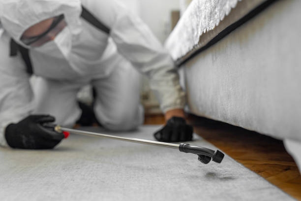 Professional Bed Bug Control technician working in Franklin city County, VA
